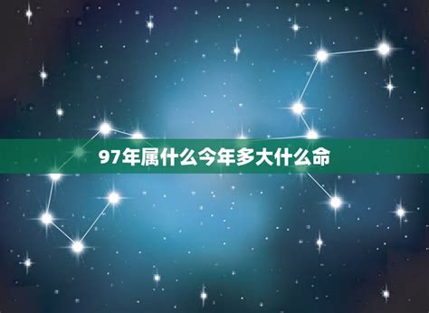 97年什么命|97年属什么 97年属什么命